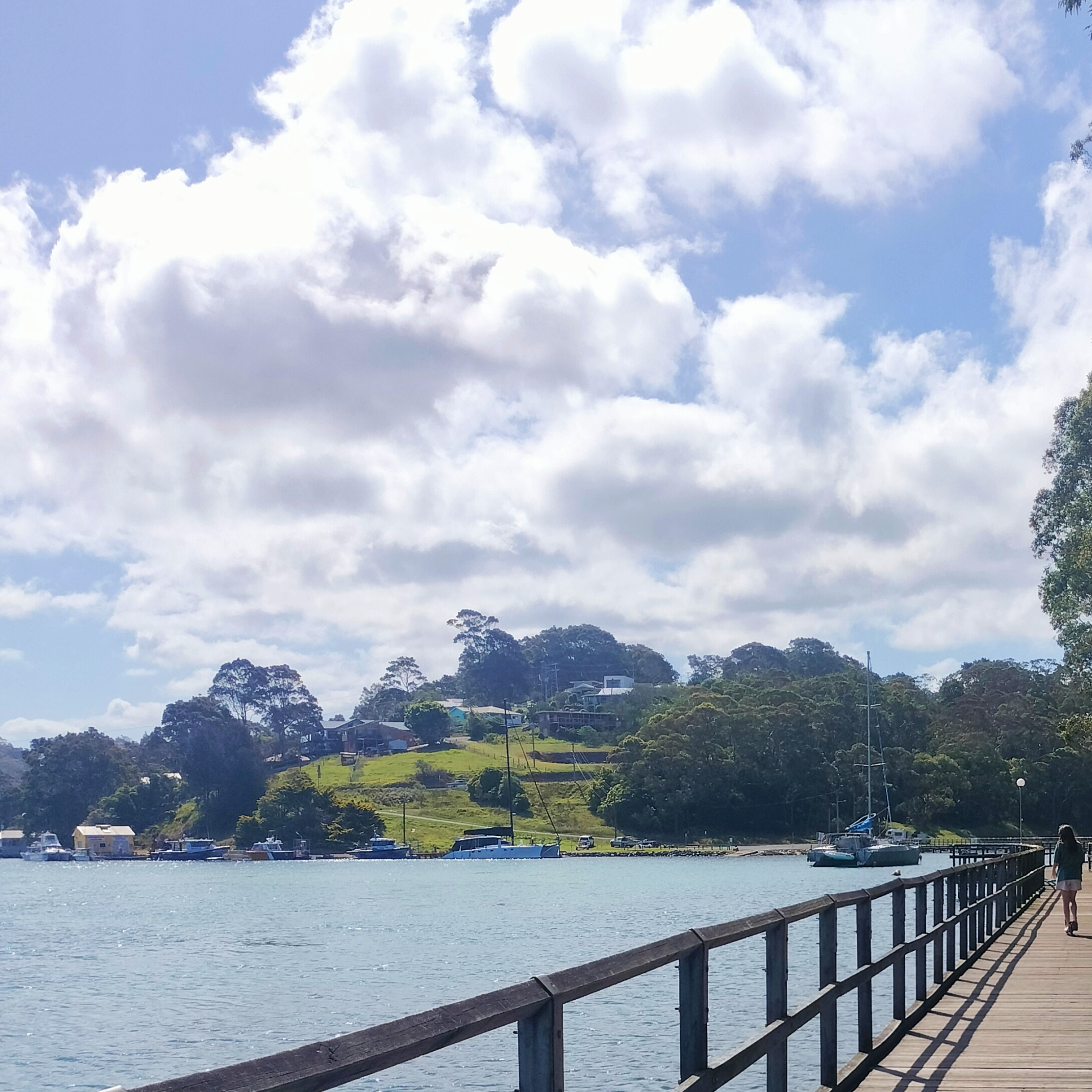 Review Photo of Mill Bay Boardwalk Narooma