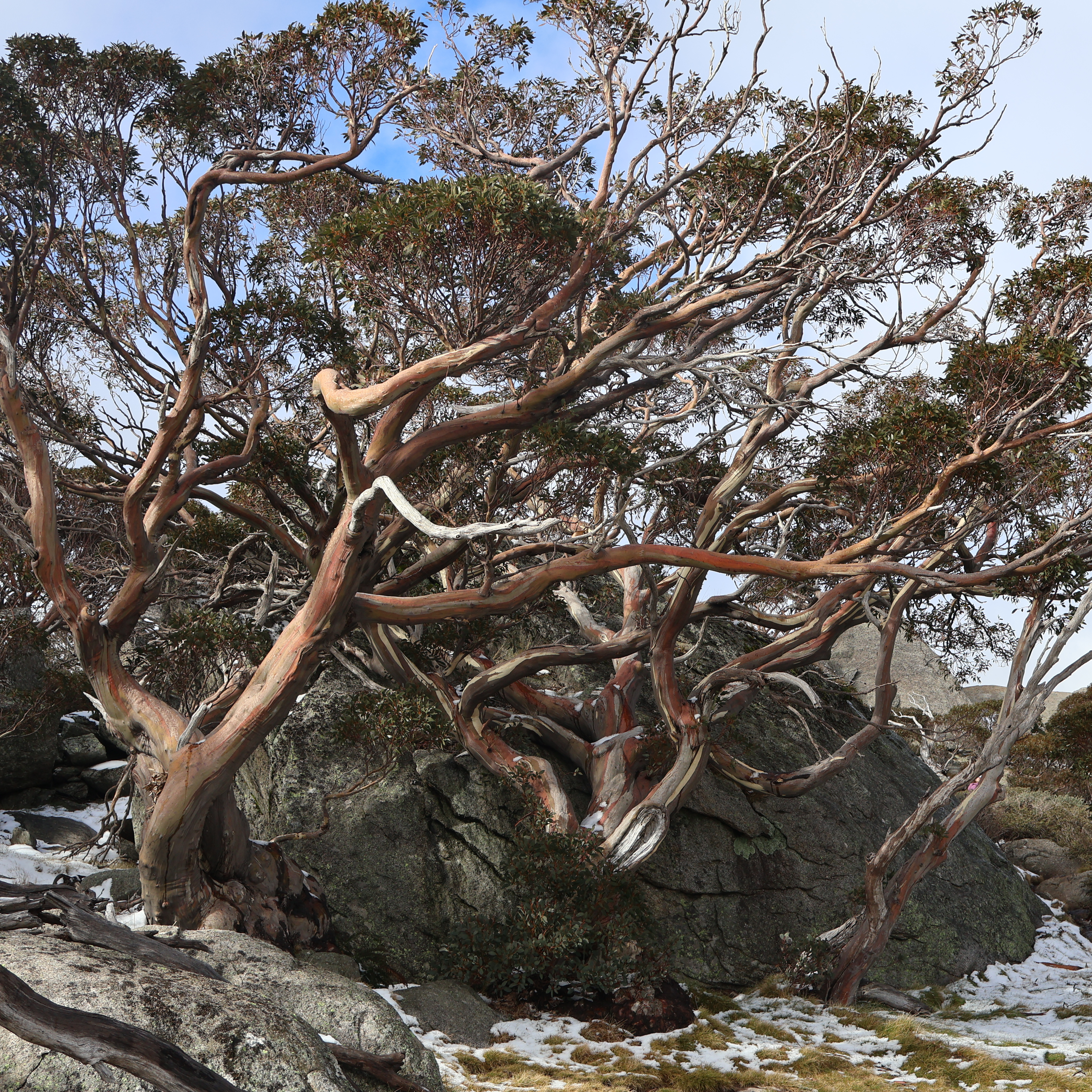 Review Photo of Porcupine Rocks by Sandra