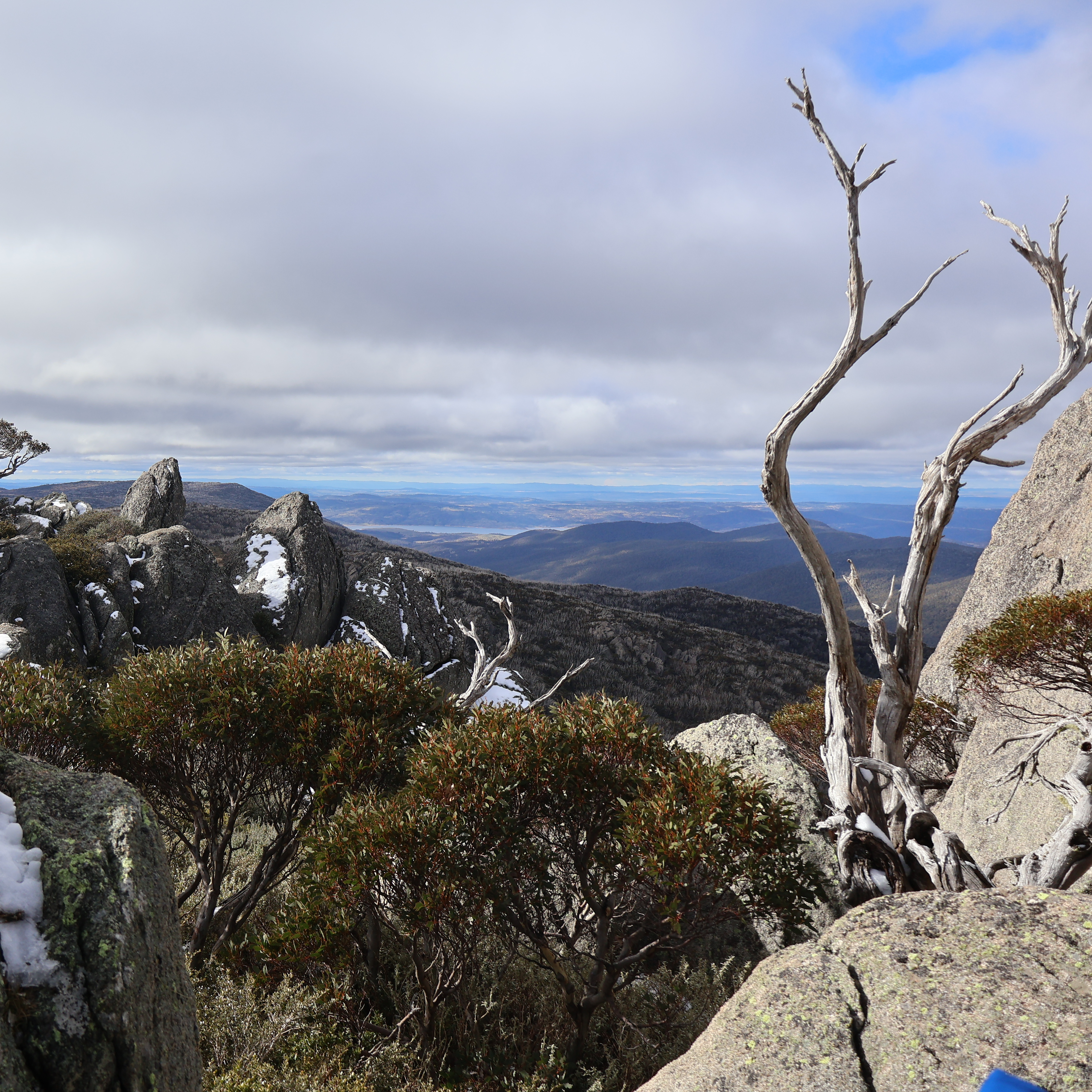 Review Photo of Porcupine Rocks by Sandra