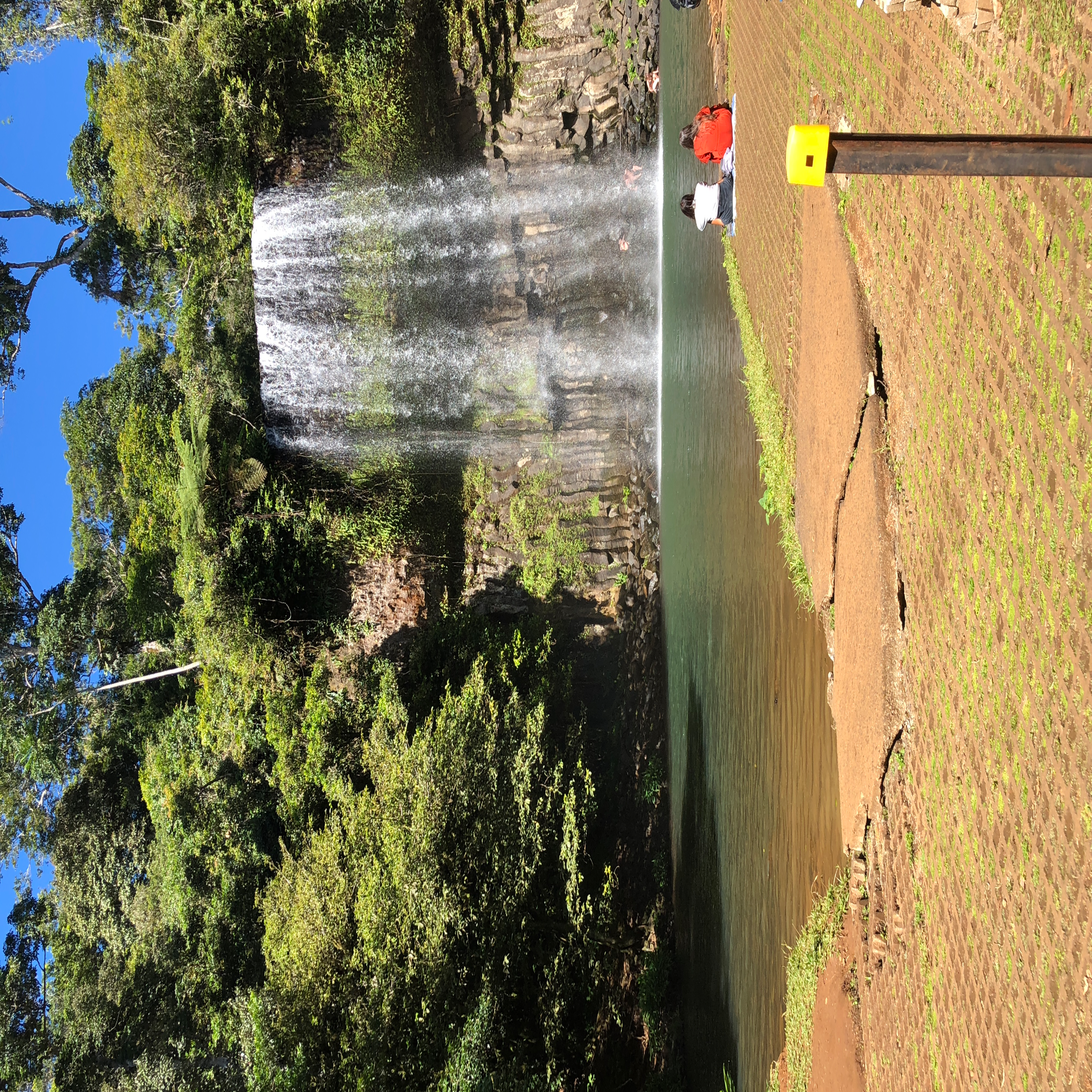 Review Photo of Millaa Millaa Falls