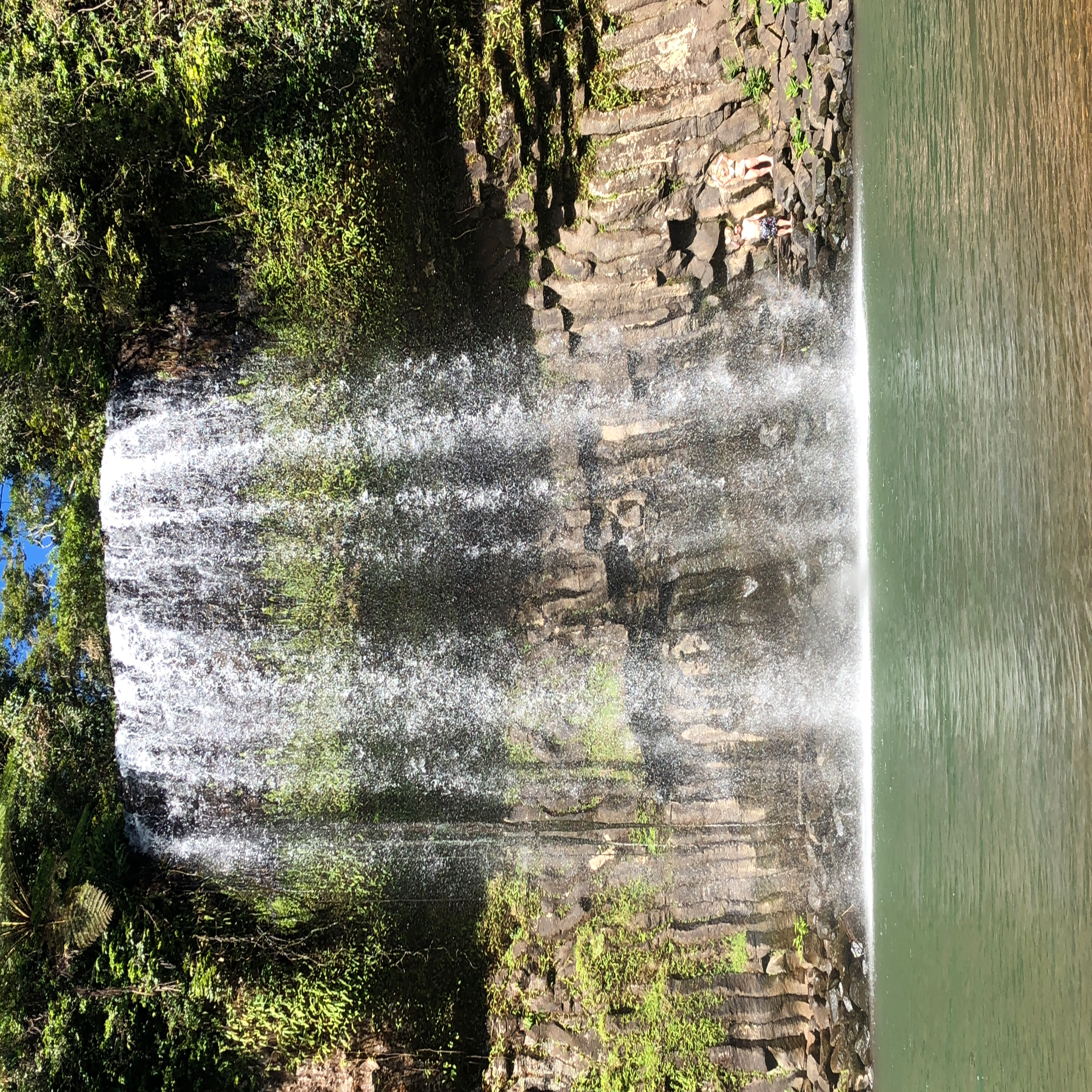 Review Photo of Millaa Millaa Falls