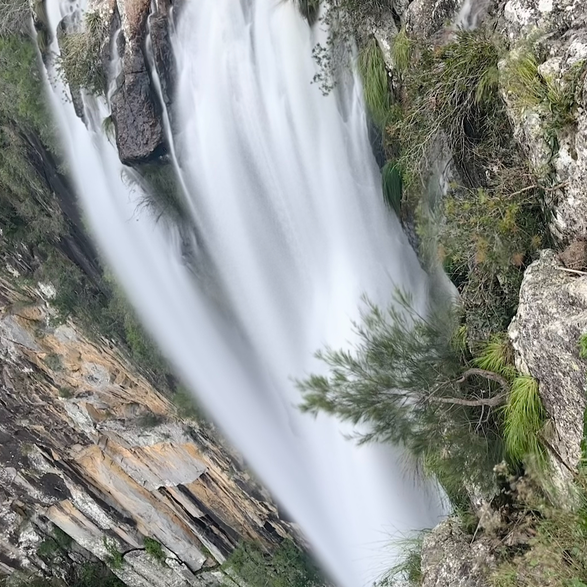 Review Photo of Minyon Falls
