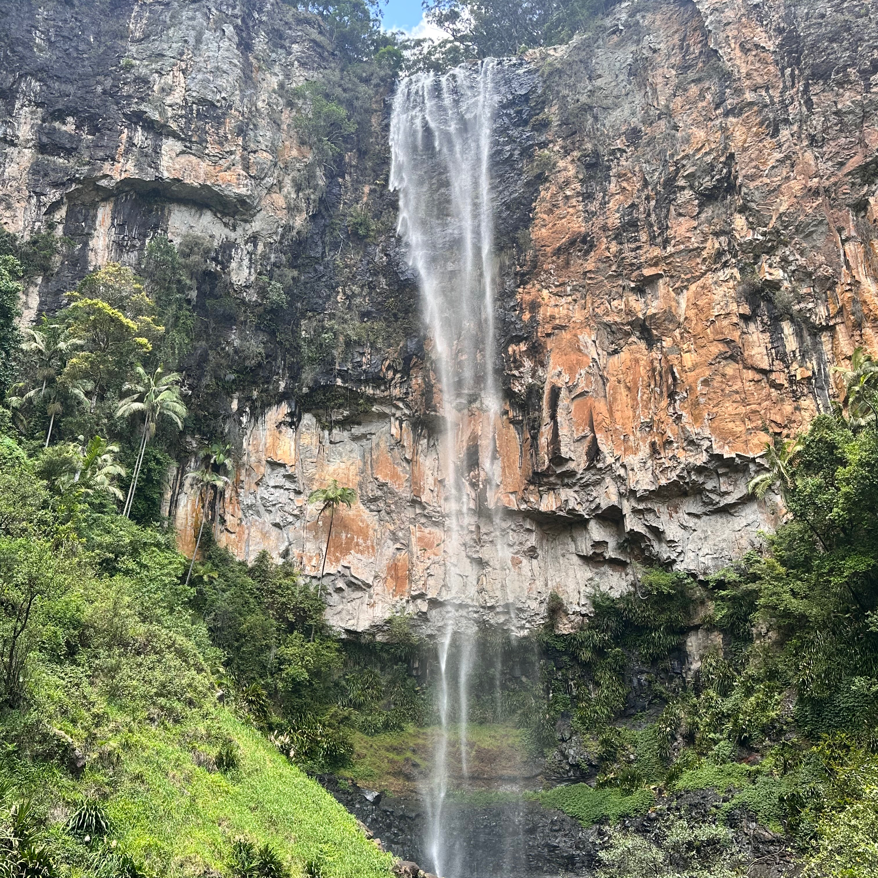 Review photo of Purlingbrook Falls by Carmel