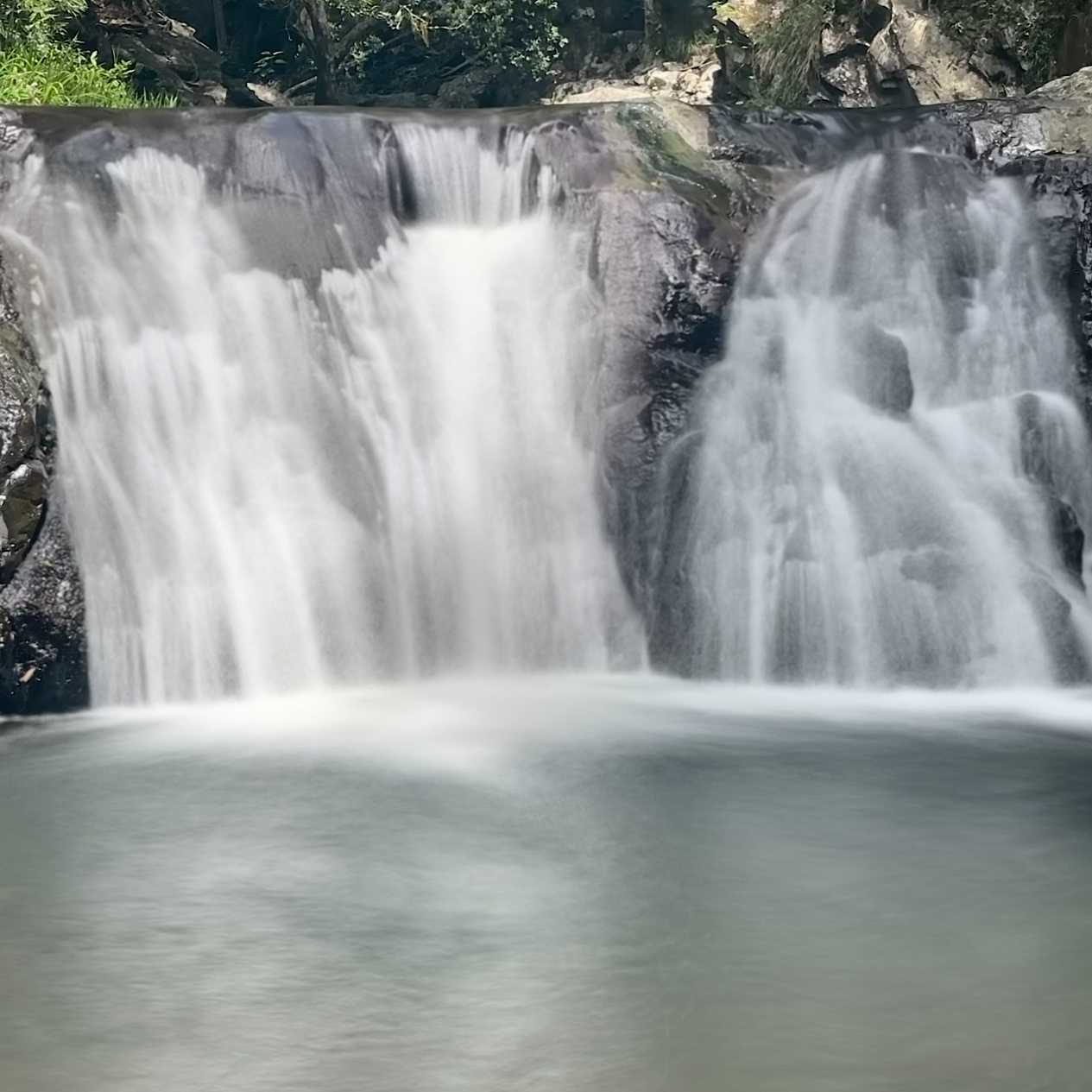 Review Photo of Cougal Cascades