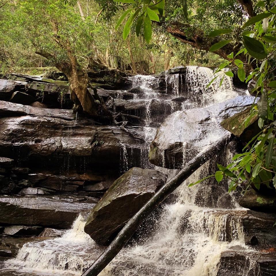 Review Photo of Somersby Falls 